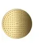AXOR-HG-AXOR-ShowerSolutions-Kopfbrause-250-2jet-Decke-Polished-Gold-Optic-35298990 gallery number 1